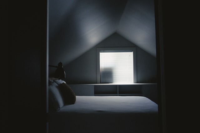 modern door window showroom consultation